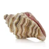 Conch Shell Breakers*Judith Leiber Online