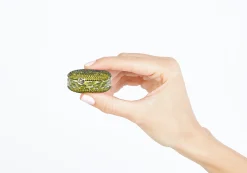 Green Tea Macaron*Judith Leiber Hot