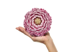 Peony*Judith Leiber Discount