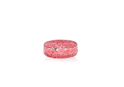 Watermelon Macaron*Judith Leiber Discount