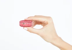Watermelon Macaron*Judith Leiber Discount